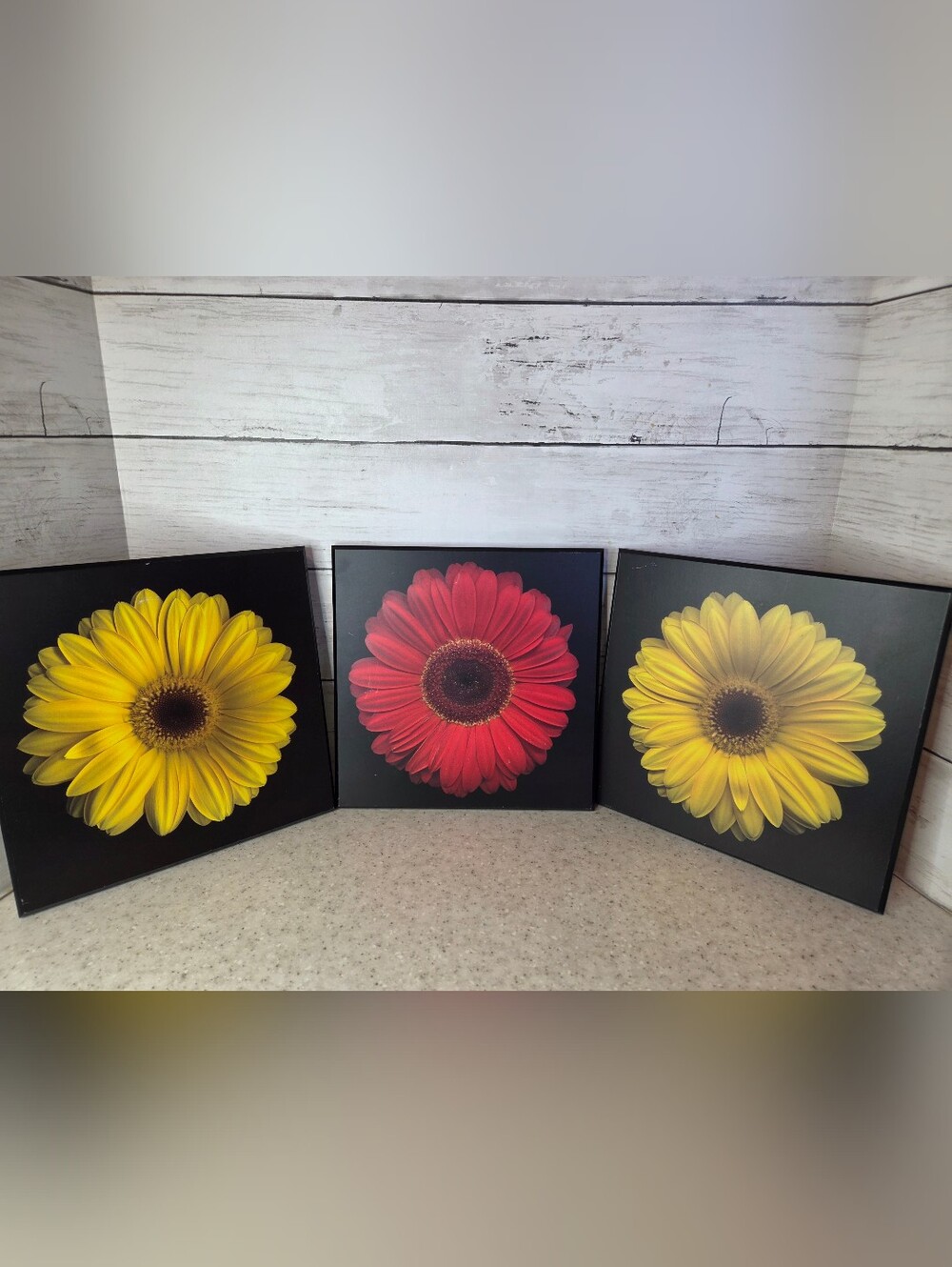 Target Home Set 3 Gerbera Daisy Wood Wall Plaques Red Yellow Floral 2009